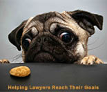 Welcome to SEO for Lawyers
